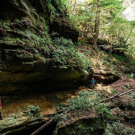 Dunlap Hollow A-Frame Rockbridge Eksteriør bilde