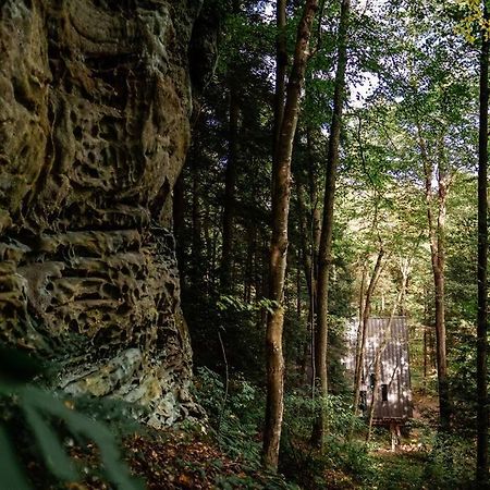 Dunlap Hollow A-Frame Rockbridge Eksteriør bilde