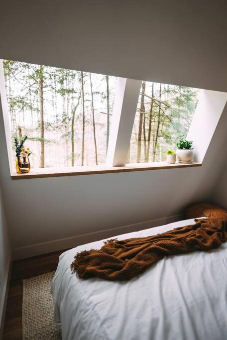 Dunlap Hollow A-Frame Rockbridge Eksteriør bilde