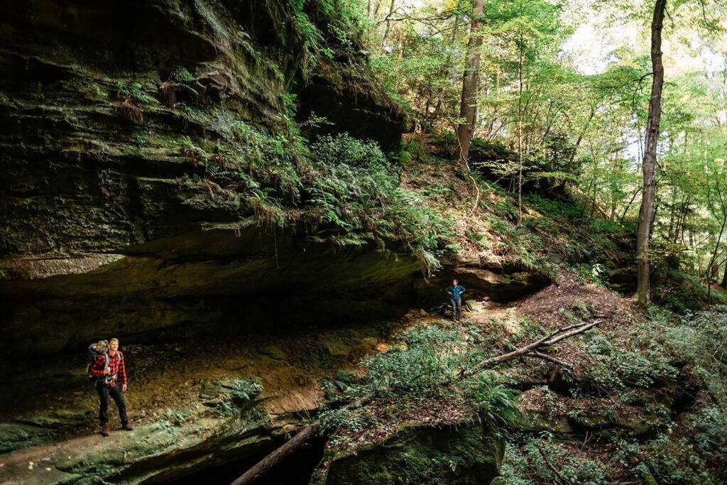 Dunlap Hollow A-Frame Rockbridge Eksteriør bilde
