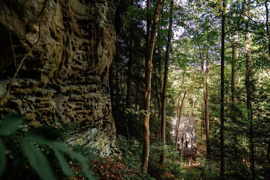 Dunlap Hollow A-Frame Rockbridge Eksteriør bilde