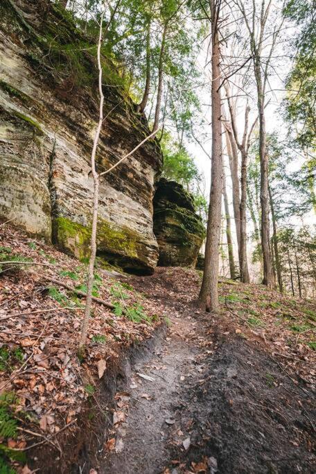 Dunlap Hollow A-Frame Rockbridge Eksteriør bilde