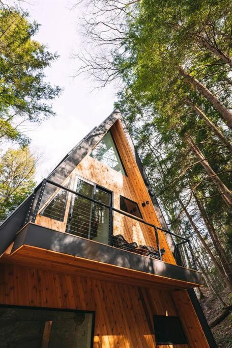 Dunlap Hollow A-Frame Rockbridge Eksteriør bilde