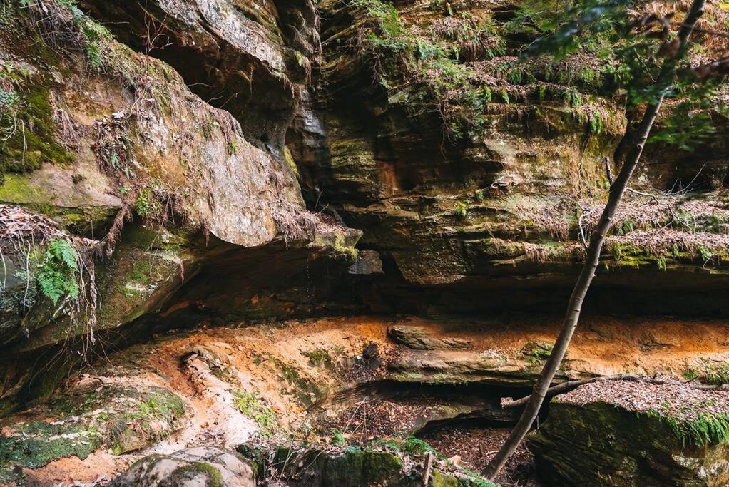 Dunlap Hollow A-Frame Rockbridge Eksteriør bilde