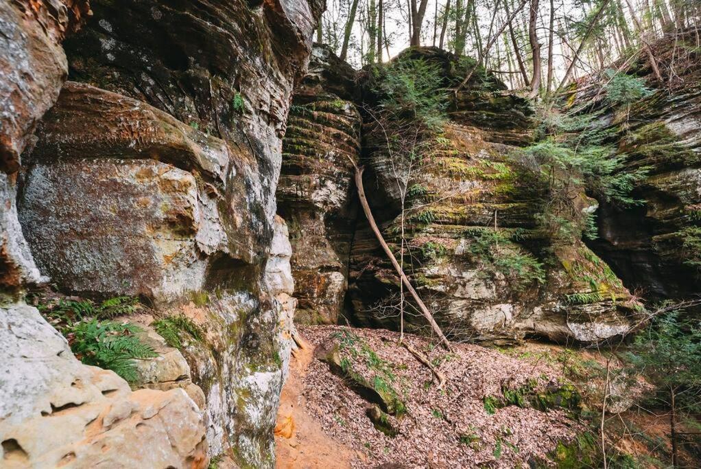 Dunlap Hollow A-Frame Rockbridge Eksteriør bilde